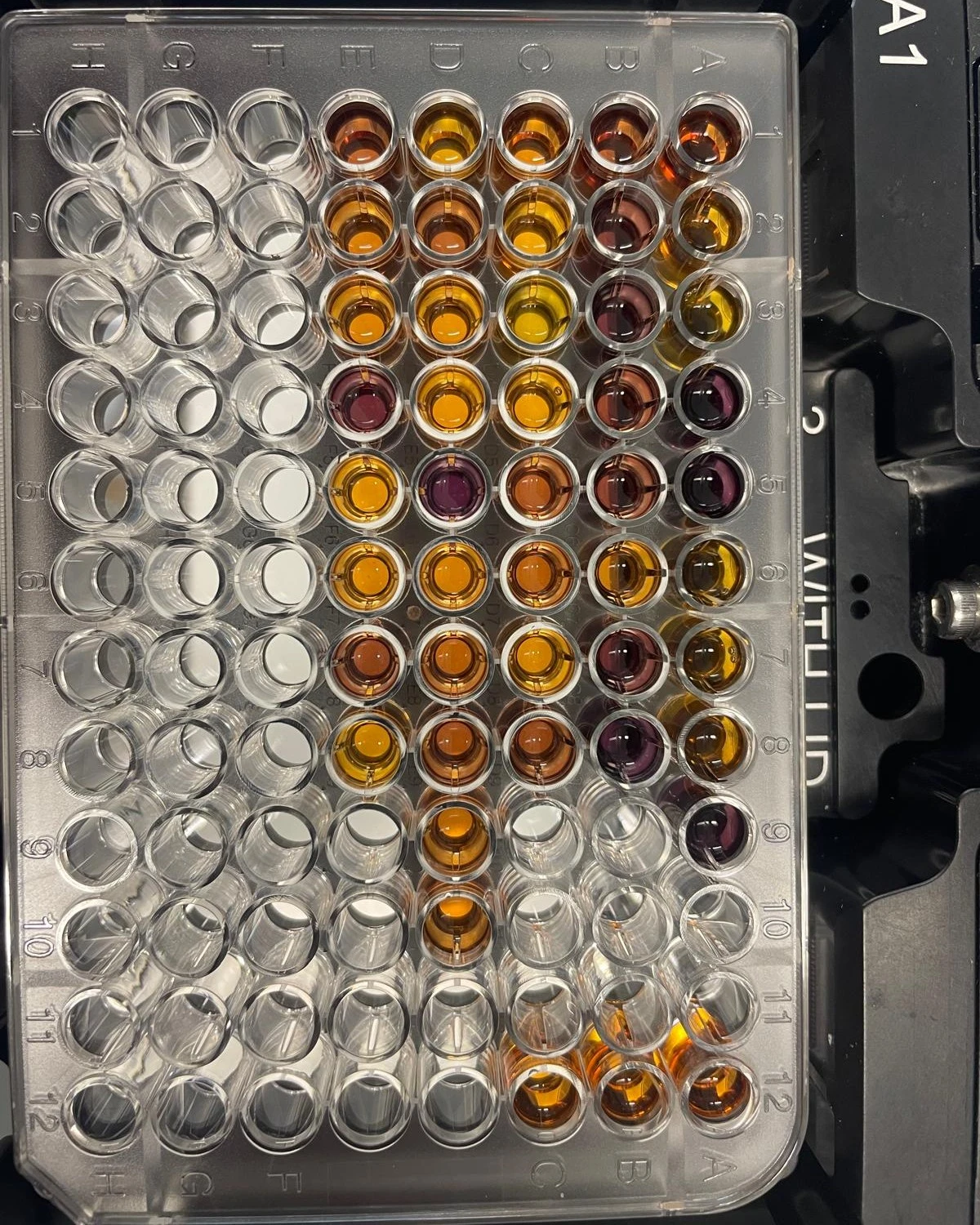 biomarker analysis